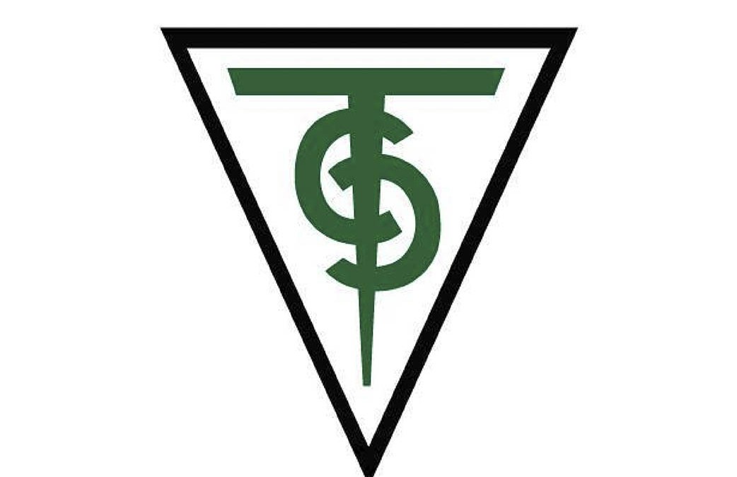 Tolsa